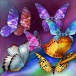 Практика “Порхающие бабочки”
