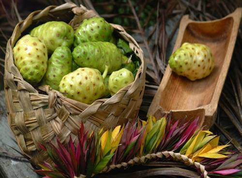 Плоды дерева Моринда по форме напоминают картофель, и бывают различных цветов: жёлтые, зелёные.