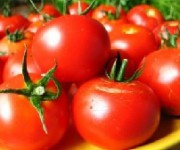 kak-zamorozit-pomidory