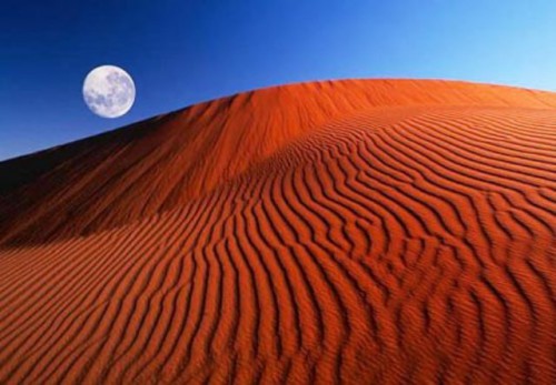 пустыня Калахари,Намибия,Африка1