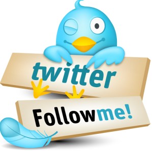 Следуйте за мной в Twitter