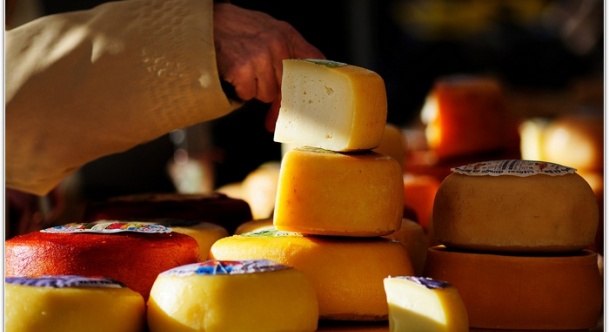 Сыр и его полезные свойства