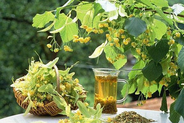 Эфирное масло липы.
