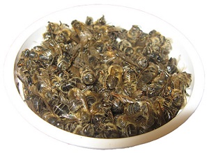 лечебные свойства пчелиного подмора